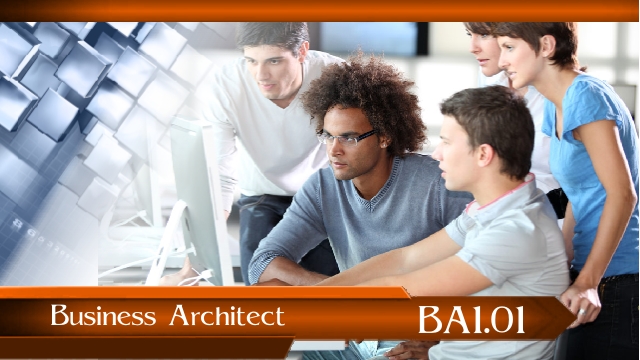 Business Architect BA1.01